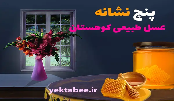 5 نشانه عسل طبیعی کوهستان 1 5 نشانه عسل طبیعی کوهستان