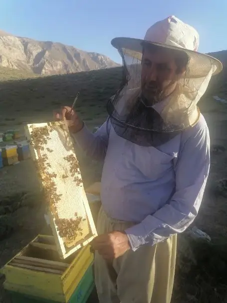 خرید عسل طبیعی با قیمت واقعی فقط از زنبوردار معتبر 2 عسل طبیعی با موم کوهستان