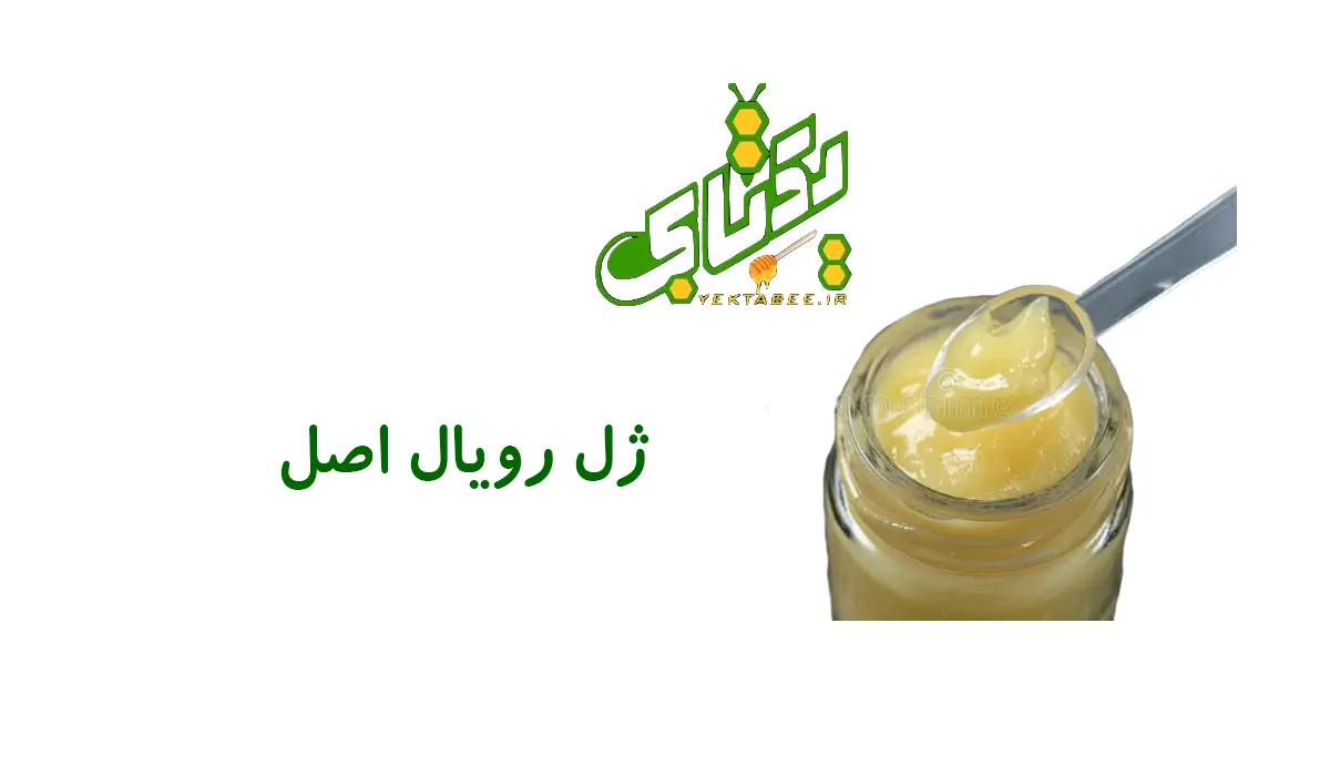 ژل رویال اصل چه فوایدی دارد؟ 1 ژل رویال اصل چه فوایدی دارد؟