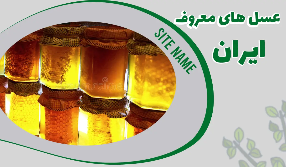 بهترین عسل های طبیعی ایران را بشناسید 1 بهترین عسل های طبیعی ایران