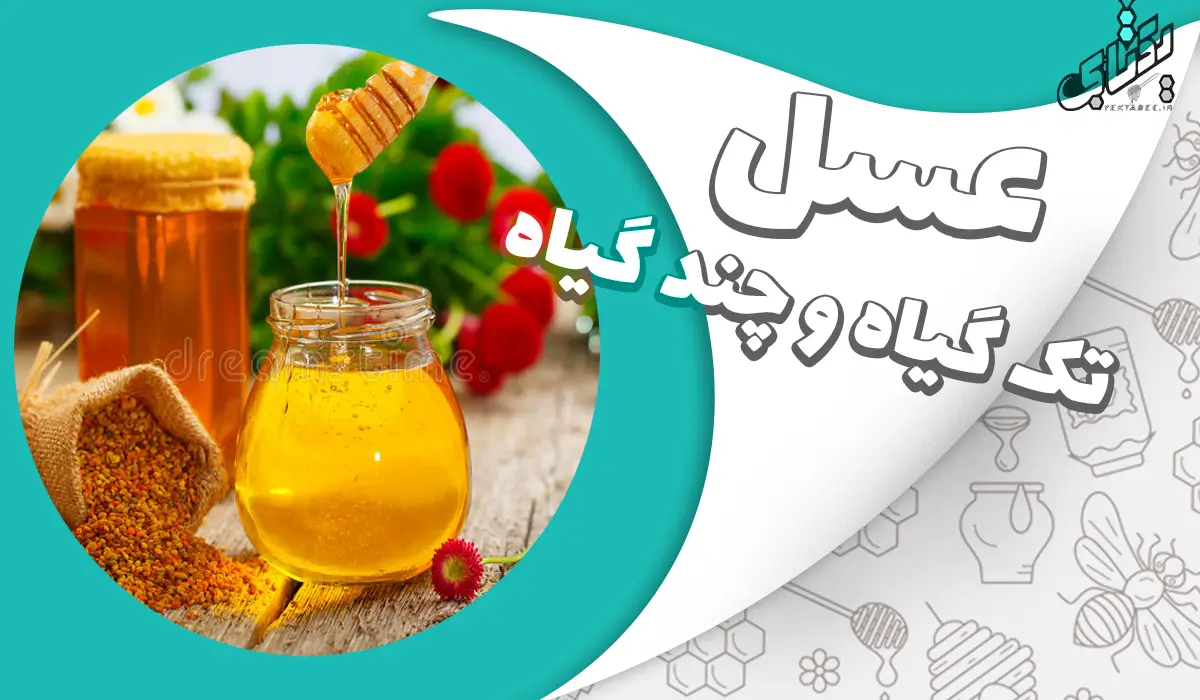 عسل تک گل و عسل چند گل کدام بهتر است؟ 1 عسل تک گل و عسل چند گل کدام بهتر است؟