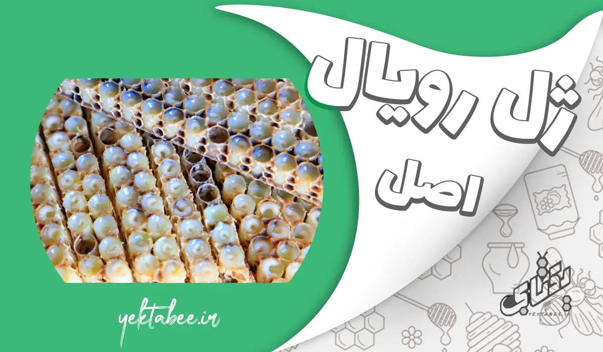 ماسک ژل رویال برای پوست صورت 1 ماسک ژل رویال برای پوست صورت
