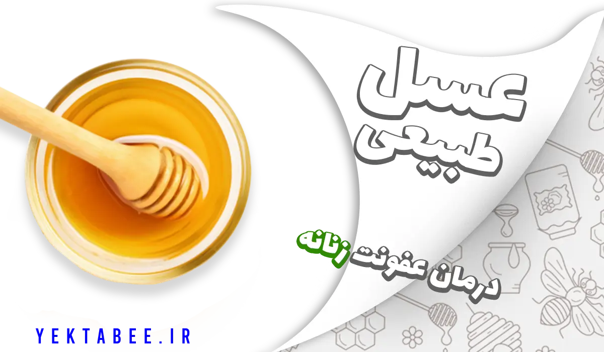 خواص عسل برای عفونت واژن بهتر از پماد 1 خواص عسل برای عفونت واژن