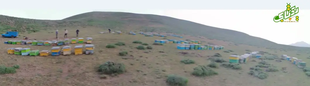 آموزش صفر تا صد زنبورداری برای مبتدیان 2 آموزش صفر تا صد زنبورداری برای مبتدیان
