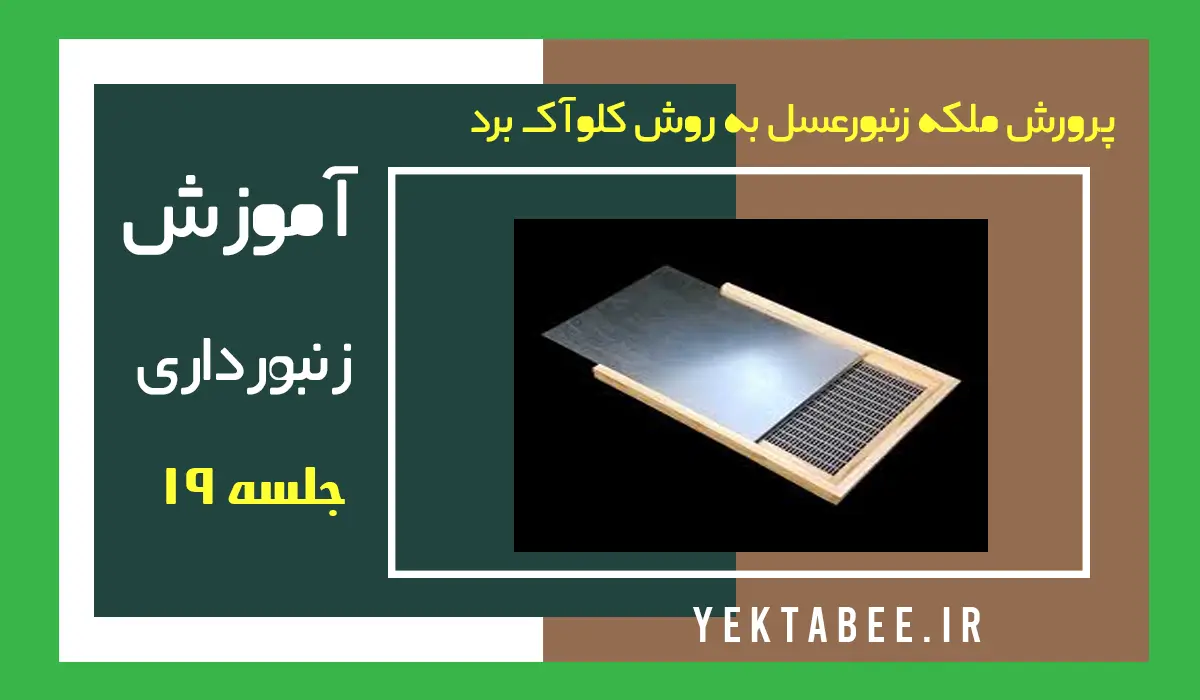 پرورش ملکه زنبورعسل به روش کلوآک برد Cloake board 1 پرورش ملکه زنبورعسل به روش کلوآک برد
