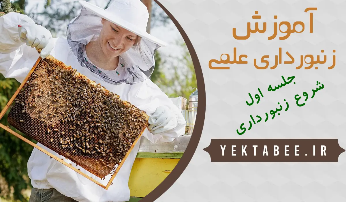 آموزش صفر تا صد زنبورداری برای مبتدیان 1 amoozeh zanboor dari-yektabee