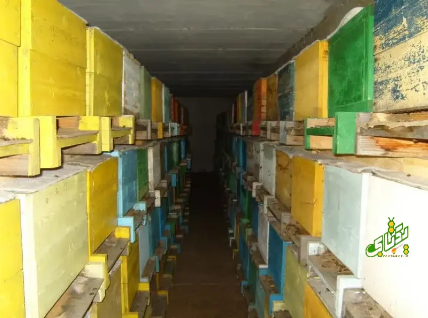 راهنمای کامل زمستان گذرانی زنبورعسل 4 anbar-bee-winter