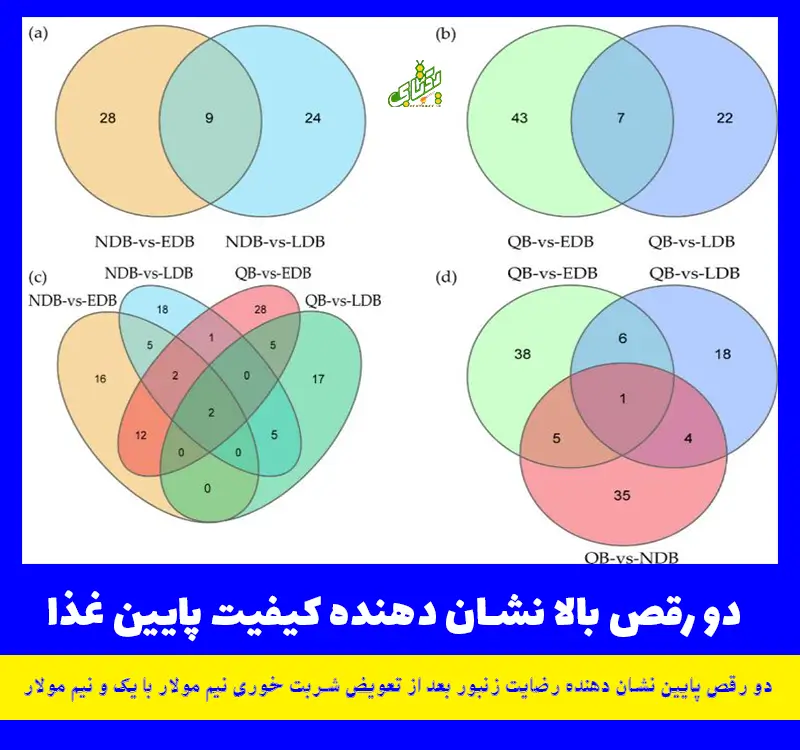 اسرار جدید درباره رقص زنبورهای عسل 8 اسرار جدید درباره رقص زنبورهای عسل