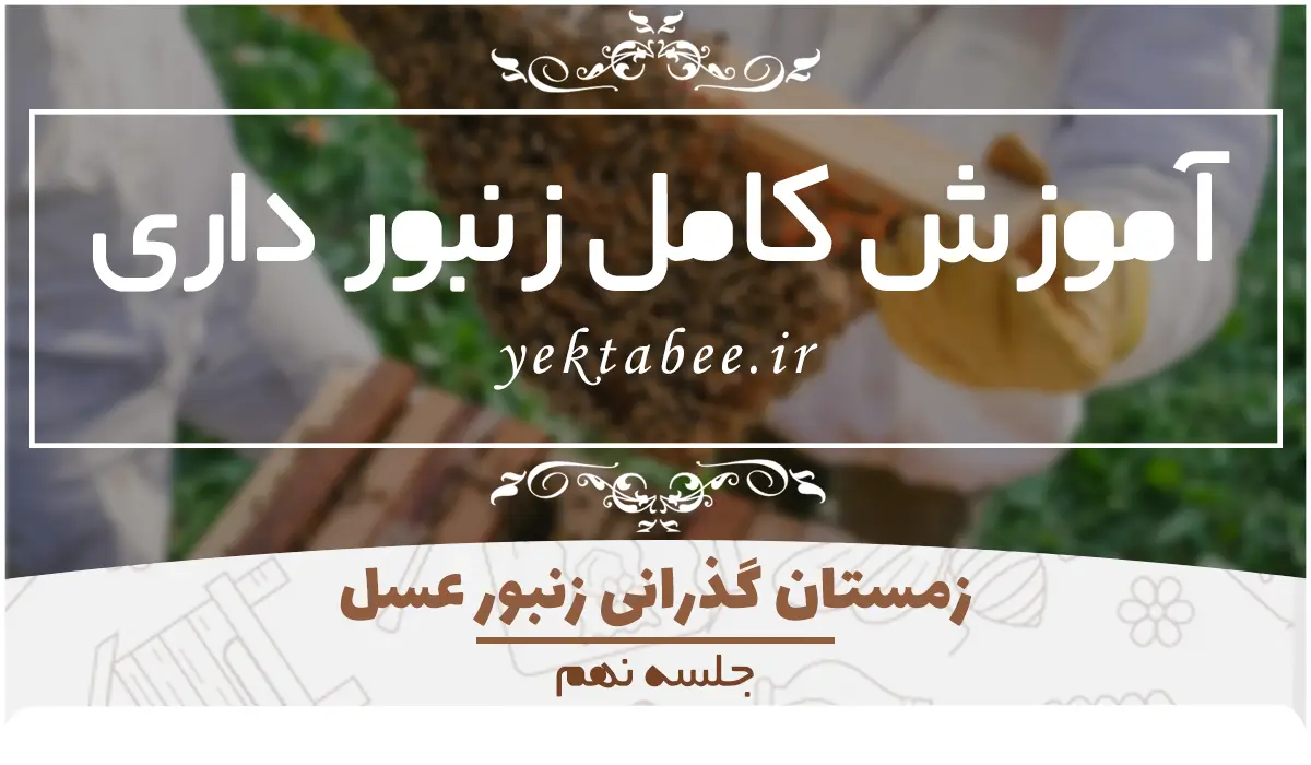 راهنمای کامل زمستان گذرانی زنبورعسل 1 زمستان گذرانی زنبورعسل