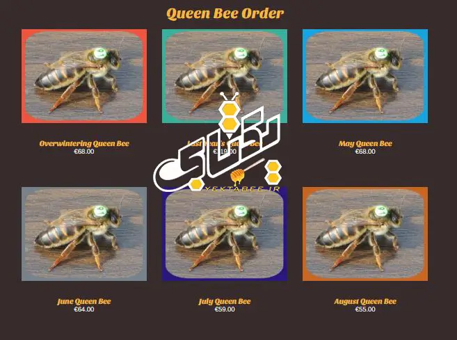 تکثیر و پرورش ملکه زنبورعسل کارنیکا 5 queen-bee-yektabee.ir