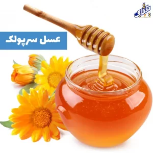خرید عسل سرپولک طبیعی کوهستان