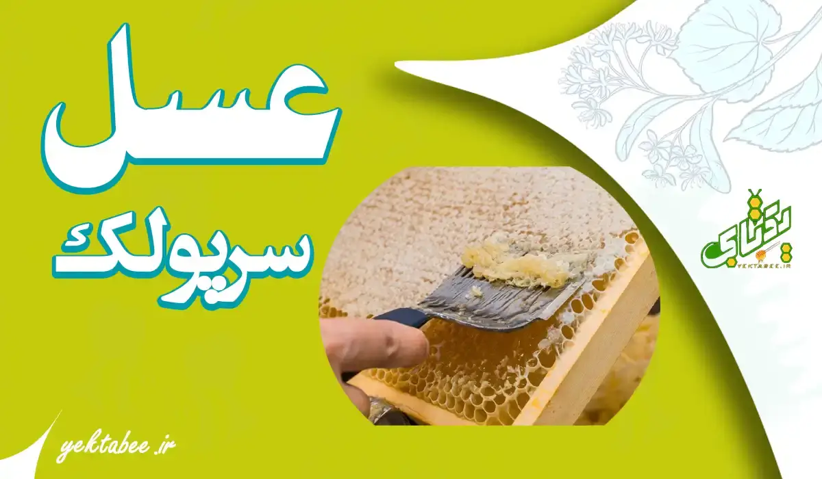 عسل سرپولک یا زابرس چیست؟ خواص عسل سرپولک 1 عسل سرپولک یا زابرس