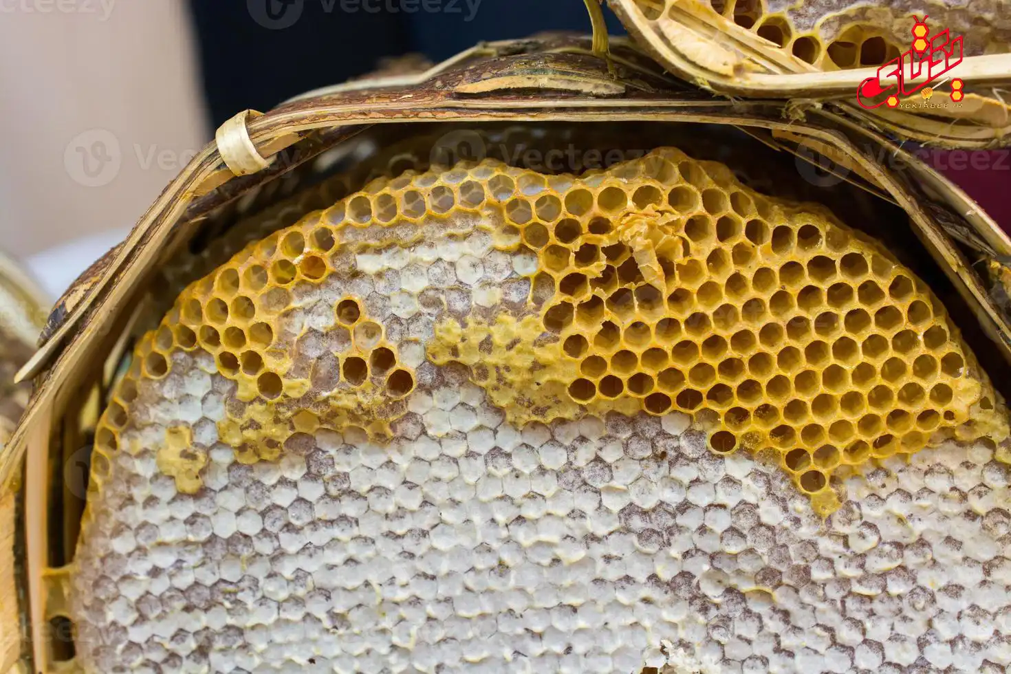 عسل خودبافت سبدی چیست؟ +قیمت 15 honey combs yektabee 9 عسل خودبافت سبدی چیست؟ +قیمت
