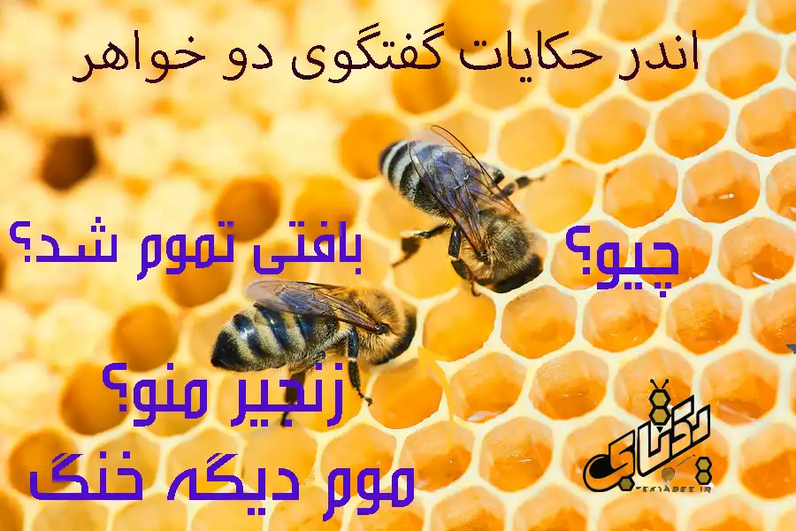 عسل خودبافت سبدی چیست؟ +قیمت 5 بوم بافی طبیعی زنبور عسل