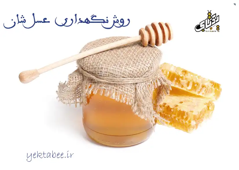 بهترین روش نگهداری عسل شان در خانه 1 روش نگهداری عسل شان در خانه