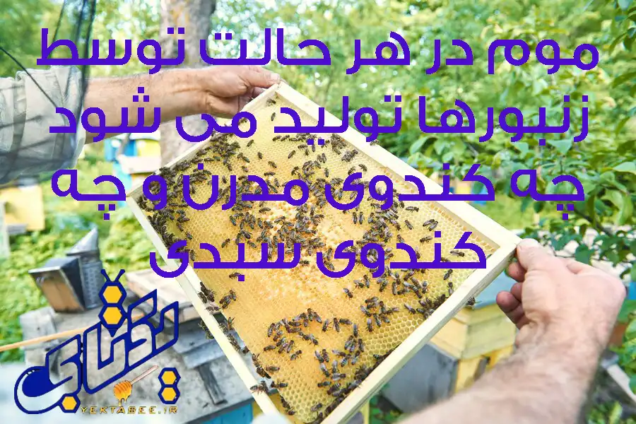 عسل خودبافت سبدی چیست؟ +قیمت 2 خرید عسل طبیعی خودبافت