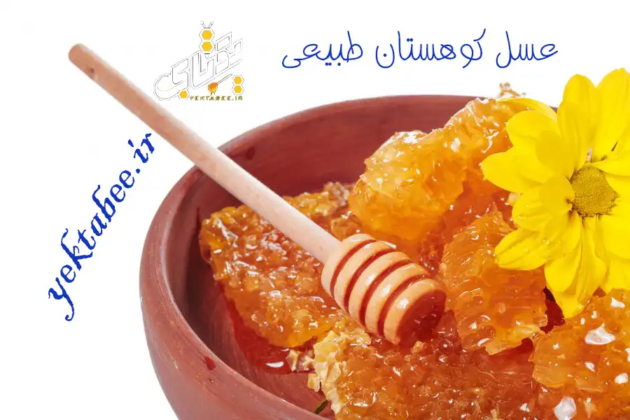 خرید بهترین عسل کوهستان گدوک 3 عسل طبیعی کوهستان گدوک