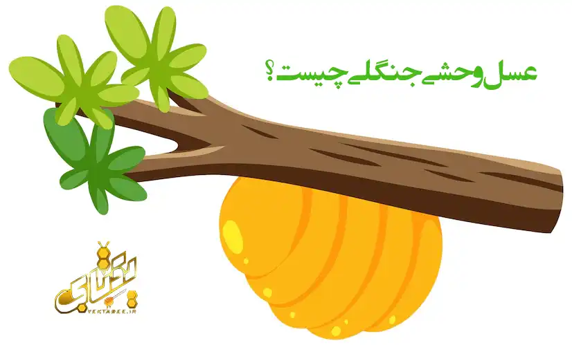 عسل وحشی جنگلی چیست؟ +قیمت خرید 1 عسل وحشی جنگلی چیست؟ عسل وحشی جنگلی چیست؟ +قیمت خرید