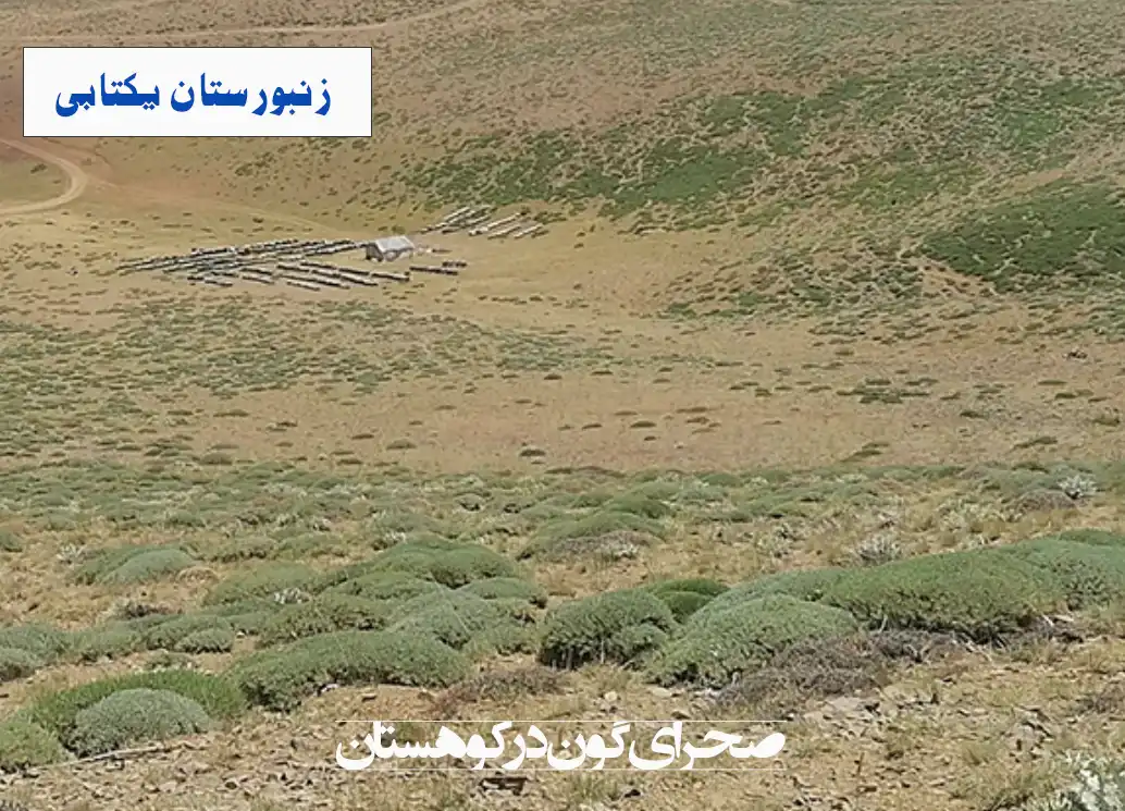 8 خواص عسل گون و راهنمای خرید عسل گون طبیعی 5 عسل گون طبیعی اصل