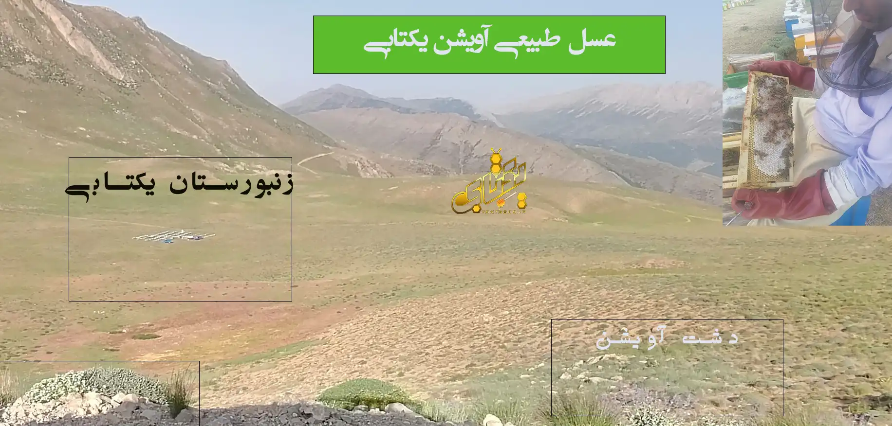 قیمت خرید عسل طبیعی آویشن مستقیم سر کندو 1 قیمت خرید عسل طبیعی آویشن
