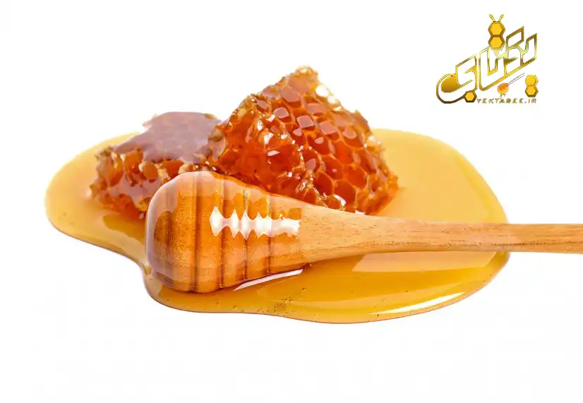 خرید عسل باریجه طبیعی باموم 3 نگهداری عسل