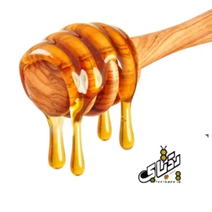 قیمت خرید عسل باریجه طبیعی