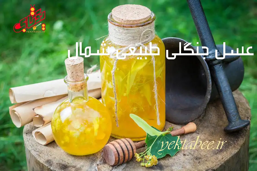 خواص عسل جنگلی طبیعی شمال و قیمت خرید 1 عسل جنگلی طبیعی شمال