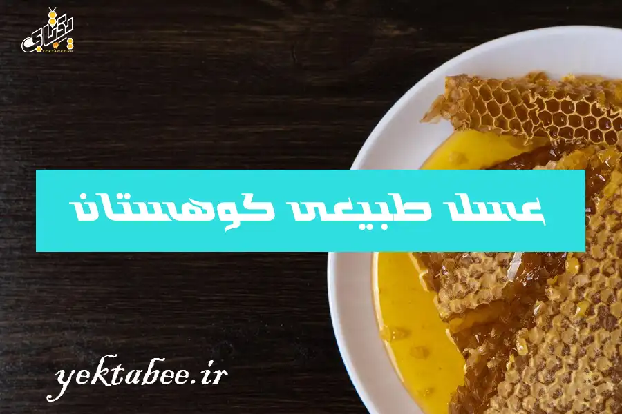 خرید عسل طبیعی با قیمت واقعی فقط از زنبوردار معتبر 1 خرید عسل طبیعی