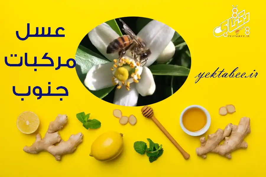 آیا عسل مرکبات شیراز بهترین عسل مرکبات است؟ 1 عسل مرکبات شیراز