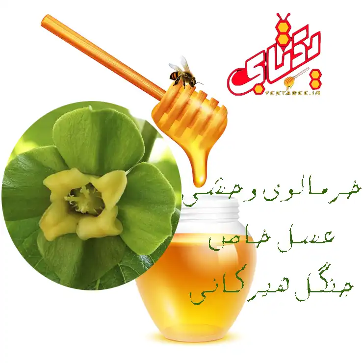 5 خواص عسل خرمالوی وحشی 2 خواص عسل خرمالو