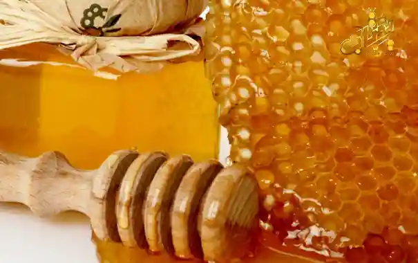 خواص عسل گون و آویشن و قیمت خرید 2 خواص عسل گون و آویشن کوهستان