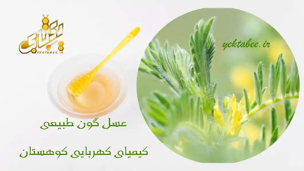 10 خواص عسل گون طبیعی را بشناسید 1 خواص عسل گون 10 خواص عسل گون طبیعی را بشناسید