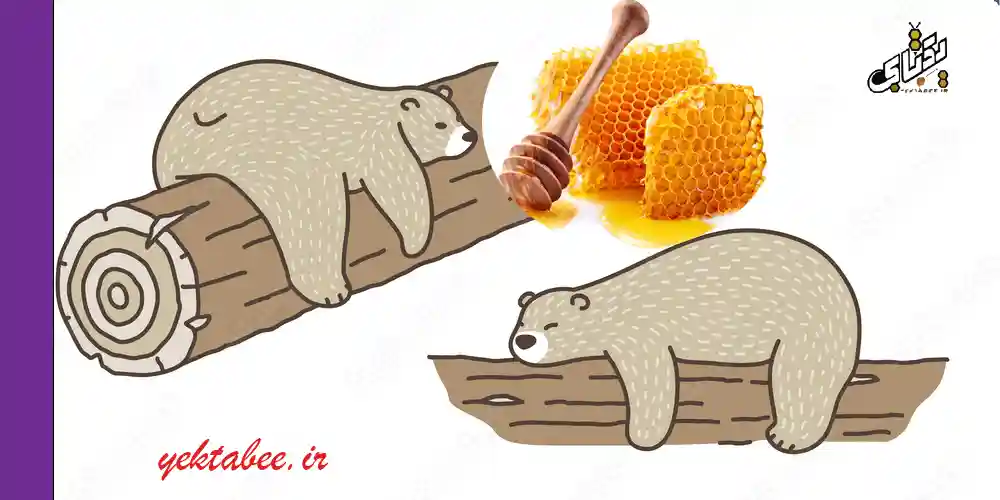 وقتی عسل طبیعی بخوریم چه اتفاقی برای بدنمان می افتد؟ 3 خوابیدن با عسل طبیعی