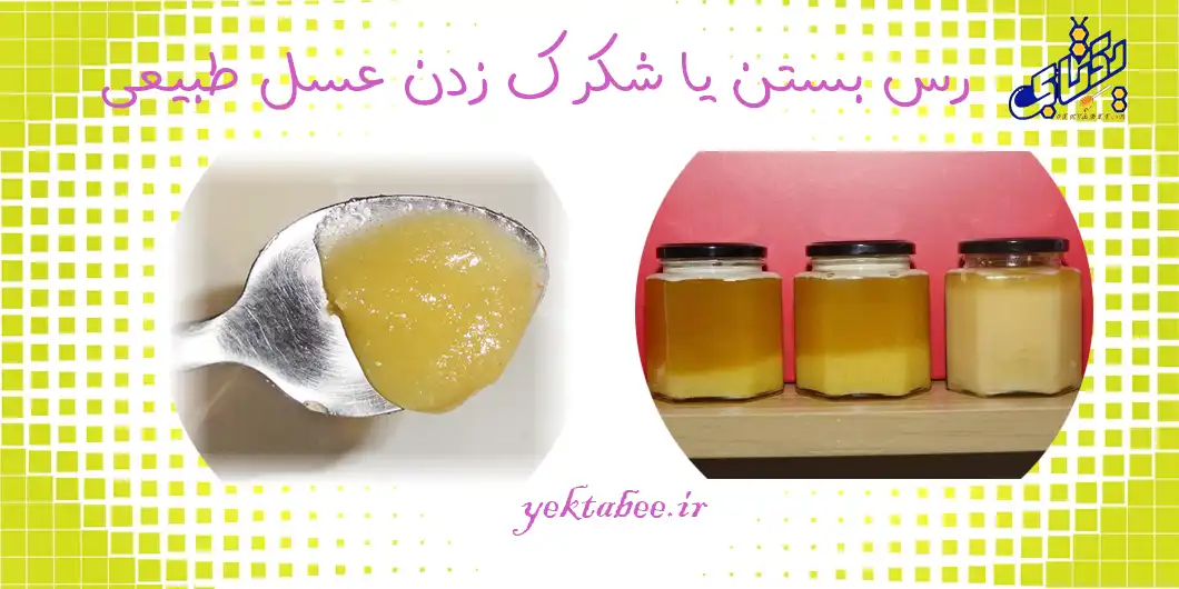 عسل چیست؟ نشانه های عسل طبیعی و تقلبی 4 عسل طبیعی و عسل تقلبی