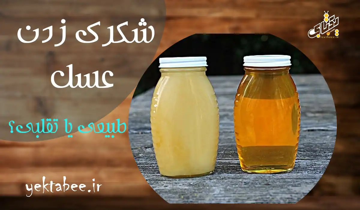 عسل طبیعی شکرک میزند یا خیر؟ 1 عسل طبیعی شکرک میزند