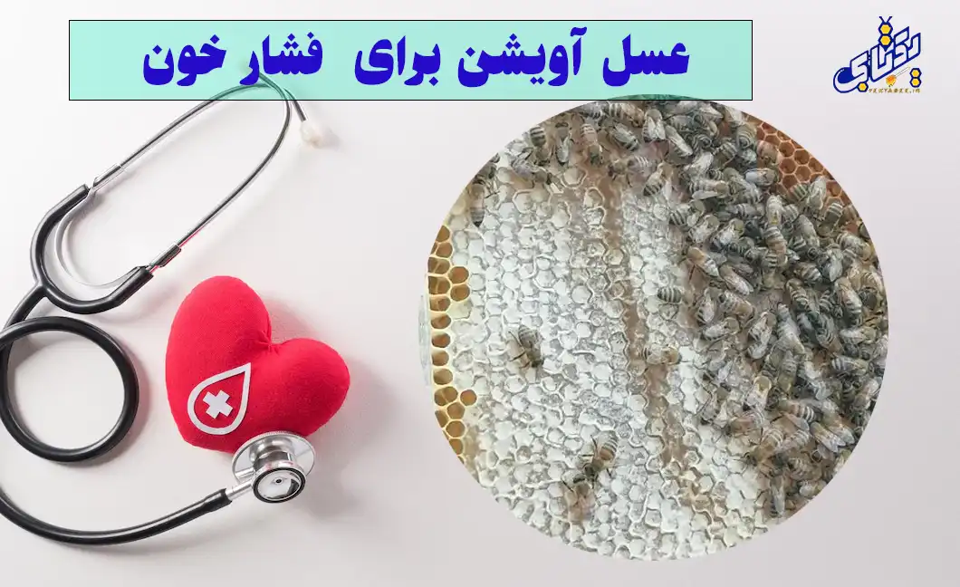 خواص عسل آویشن برای دیابتی ها، سرماخوردگی و در بارداری 6 خاصیت عسل آویشن برای فشار خون