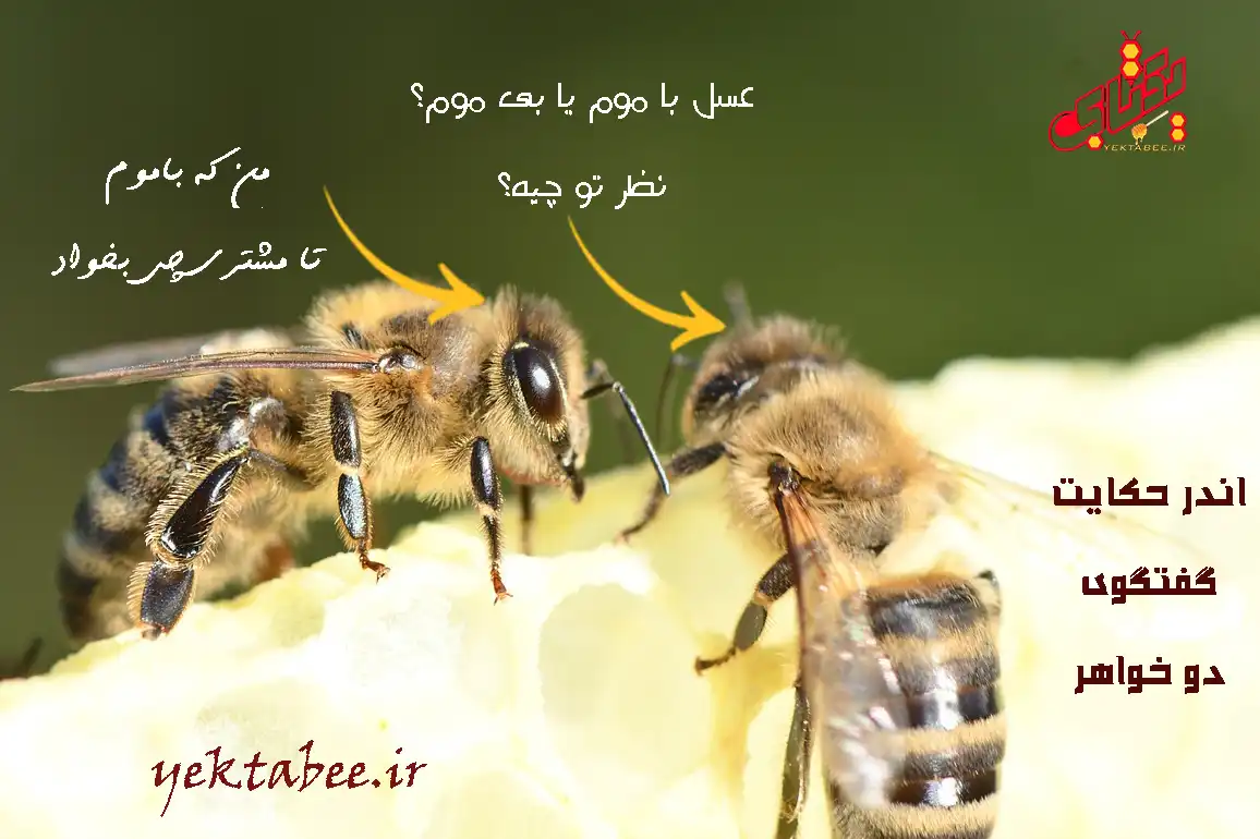 عسل با موم بهتره یا بدون موم؟ آیا موم پارافین دارد؟ 1 عسل با موم