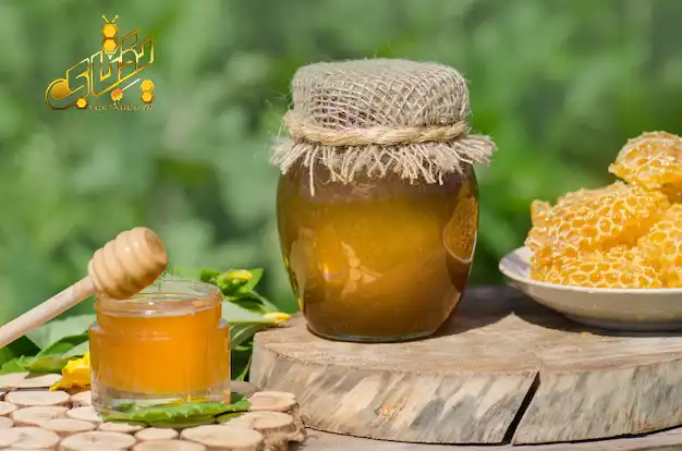 خواص عسل جنگلی طبیعی شمال و قیمت خرید 3 عسل جنگل های شمال طبیعی
