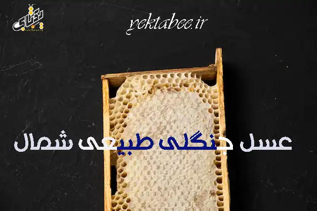 خواص عسل جنگلی طبیعی شمال و قیمت خرید 2 عسل جنگلی شمال طبیعی