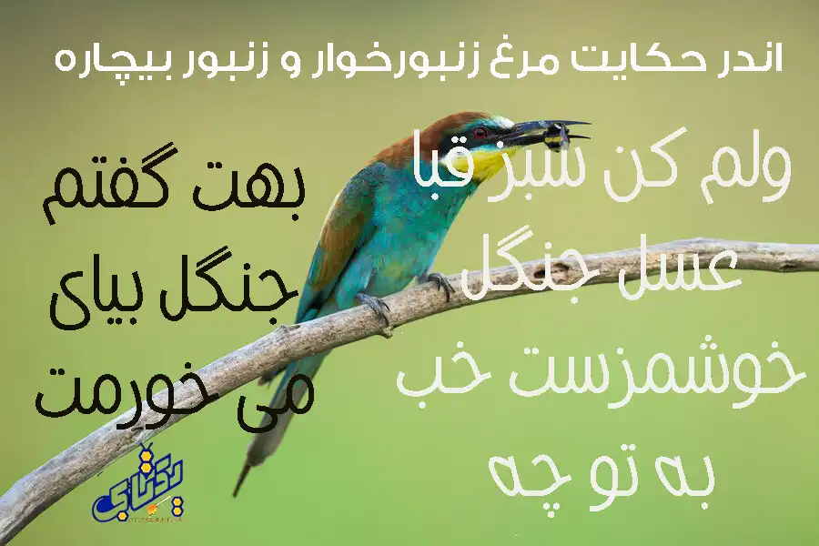 فرق عسل جنگلی و عسل وحشی + قیمت عسل جنگل 4 عسل جنگلی