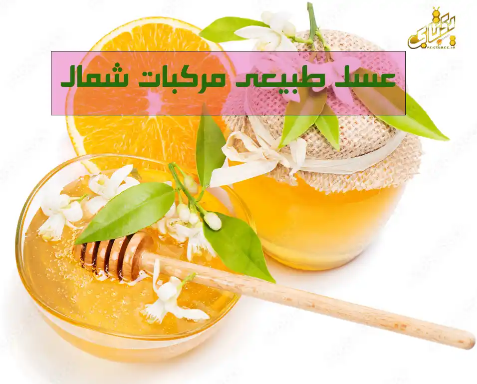 قیمت خرید عسل طبیعی مرکبات شمال 1402 1 عسل طبیعی مرکبات شمال