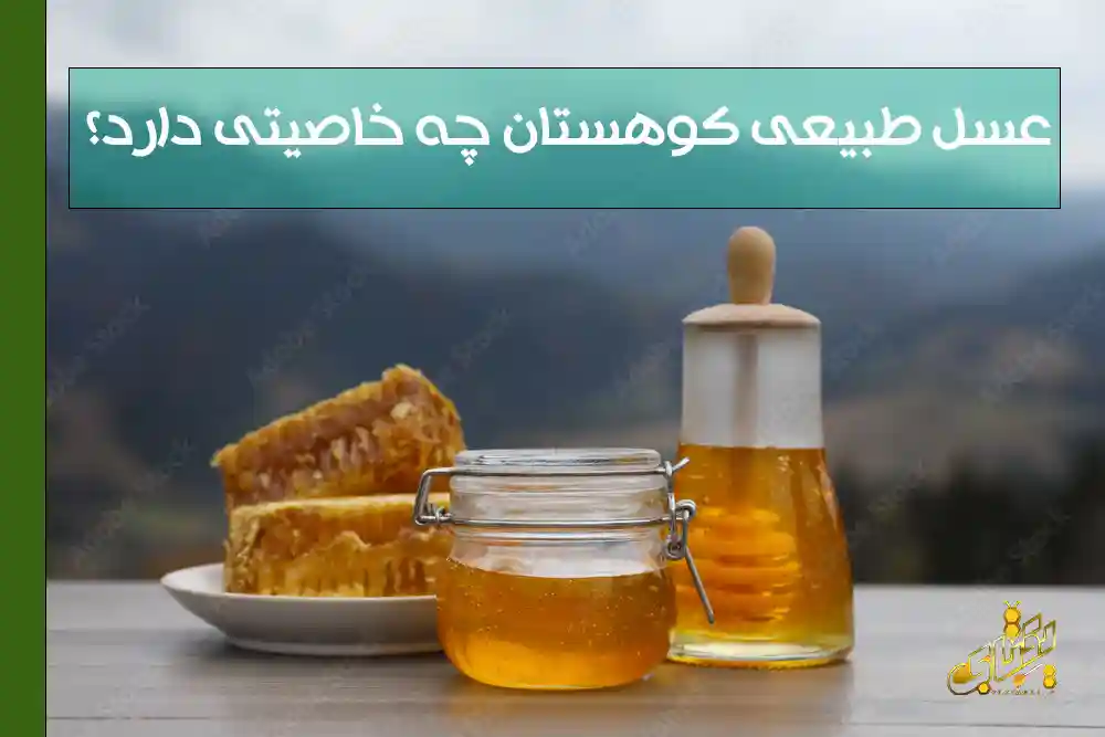 عسل طبیعی کوهستان چه خاصیتی دارد؟ 1 عسل طبیعی کوهستان چه خاصیتی دارد؟