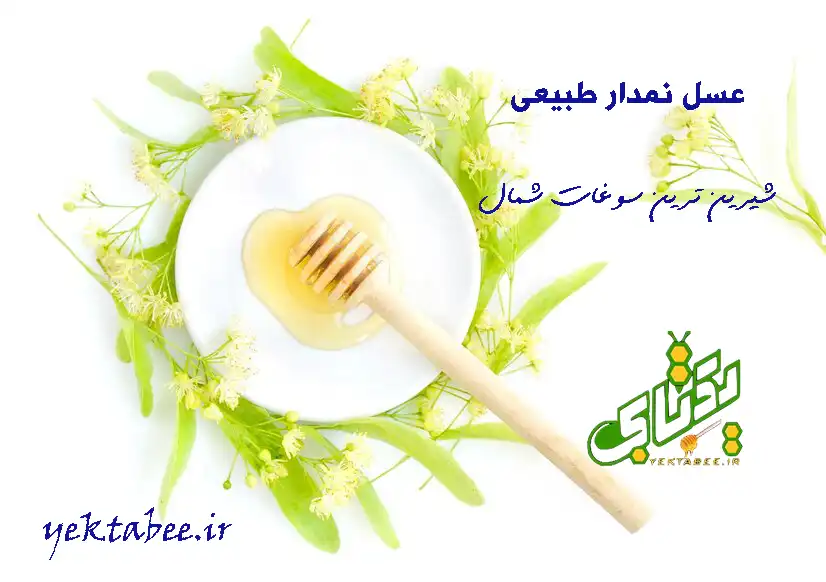 خرید عسل طبیعی نمدار 3 عسل نمدار جنگلی