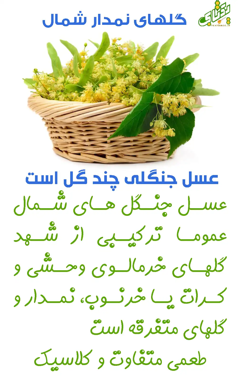 خواص عسل جنگلی طبیعی شمال و قیمت خرید 4 عسل چندگیاه جنگلی