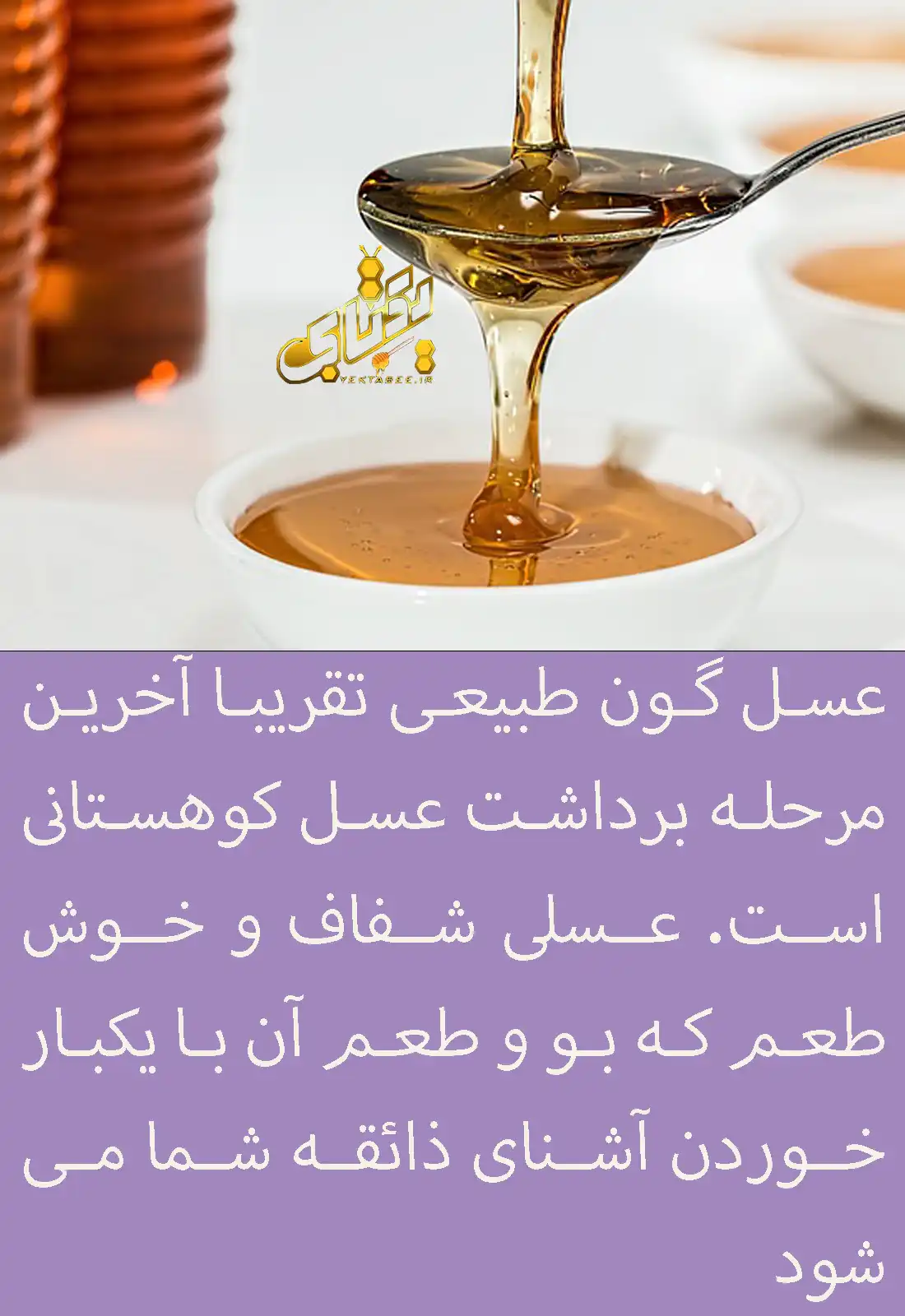 8 خواص عسل گون و راهنمای خرید عسل گون طبیعی 2 عسل گون طبیعی