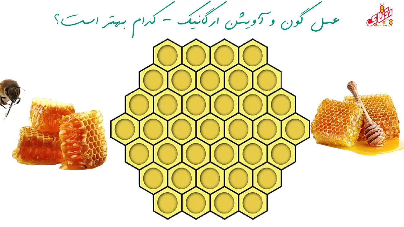 خرید عسل گون و آویشن ارگانیک - کدام بهتر است؟ 1 خرید عسل گون و آویشن ارگانیک