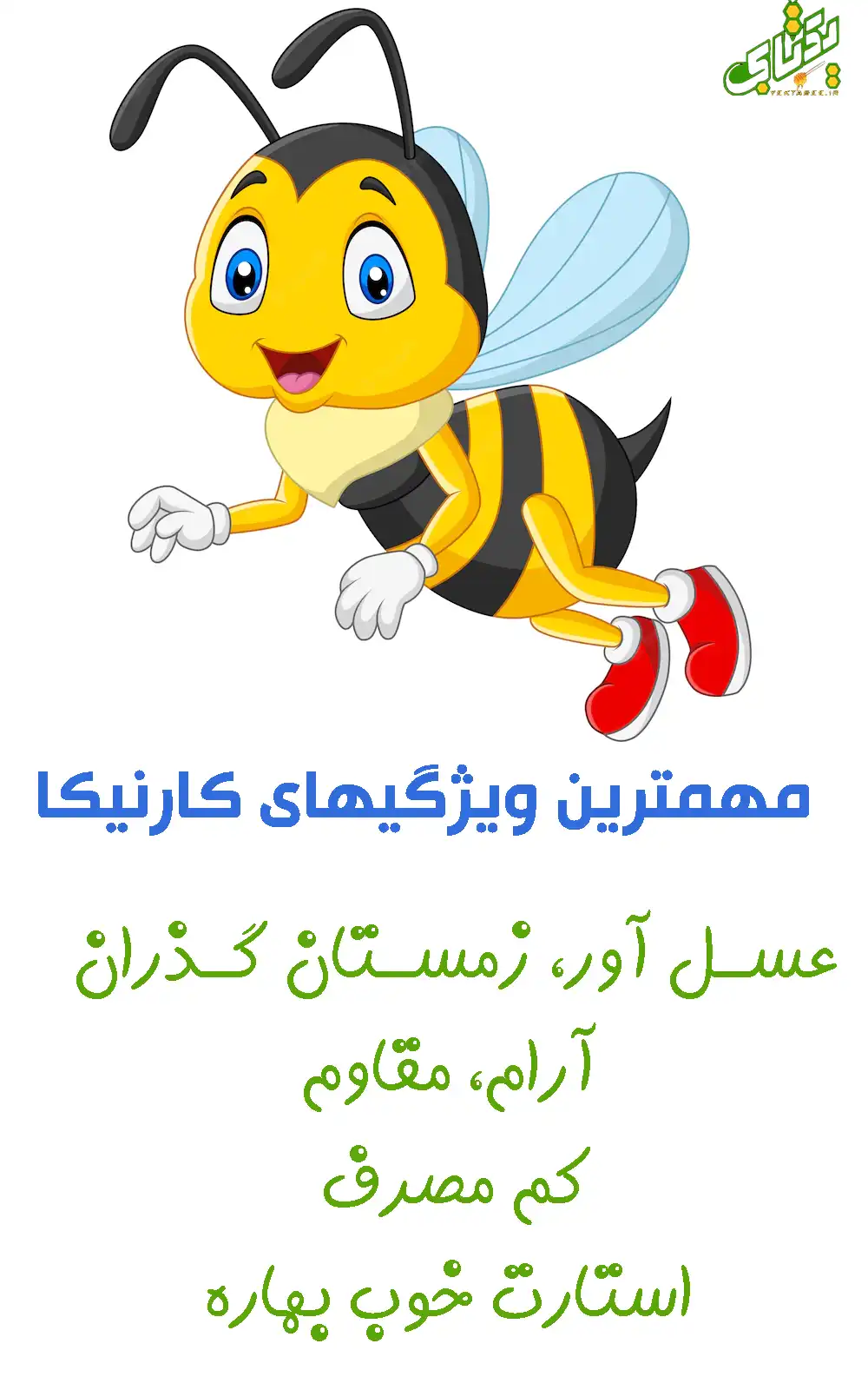 خرید و قیمت ملکه کارنیکا بهترین نژاد زنبور عسل 2 ویژگی ملکه کارنیکا