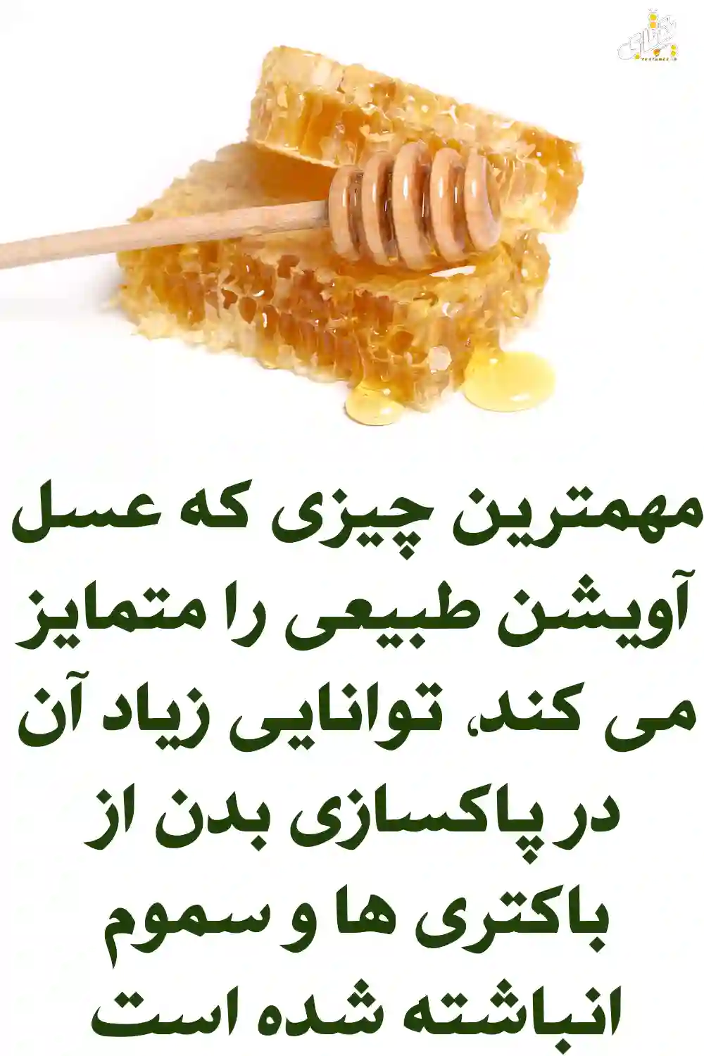 خواص عسل صددرصد طبیعی آویشن را بهتر بشناسید 4 خواص عسل آویشن خالص خواص عسل صددرصد طبیعی آویشن را بهتر بشناسید