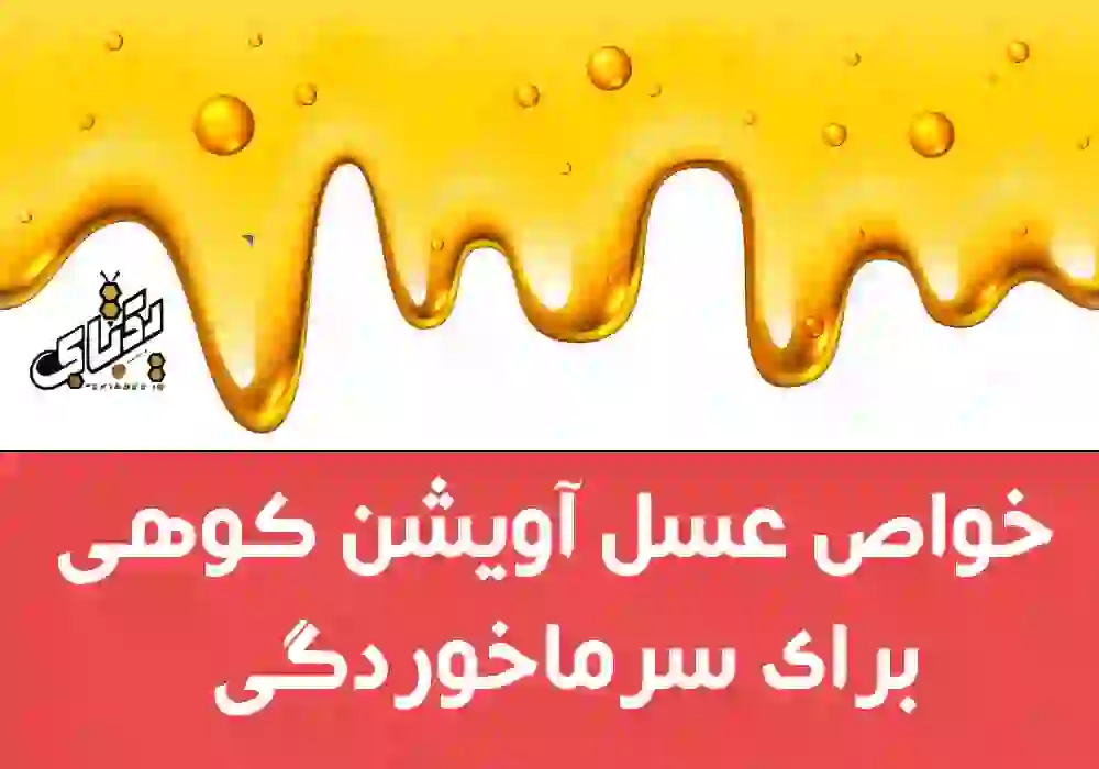 خواص عسل صددرصد طبیعی آویشن را بهتر بشناسید 2 خواص عسل آویشن کوهی برای سرماخوردگی