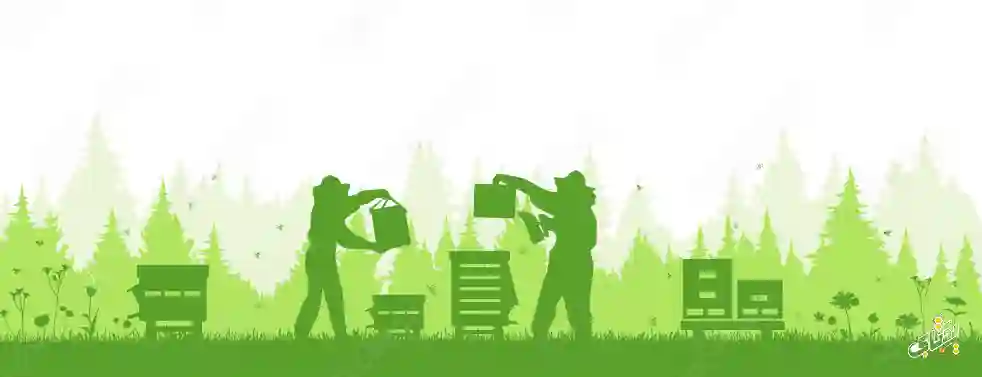 7 نکته اساسی برای شروع کار زنبورداری 5 شروع کار زنبورداری با کارنیکا